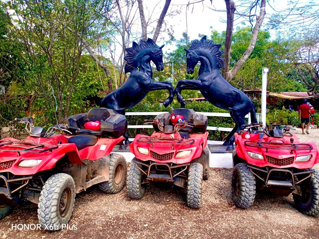 Black Stallion — ATV Quad Tour
