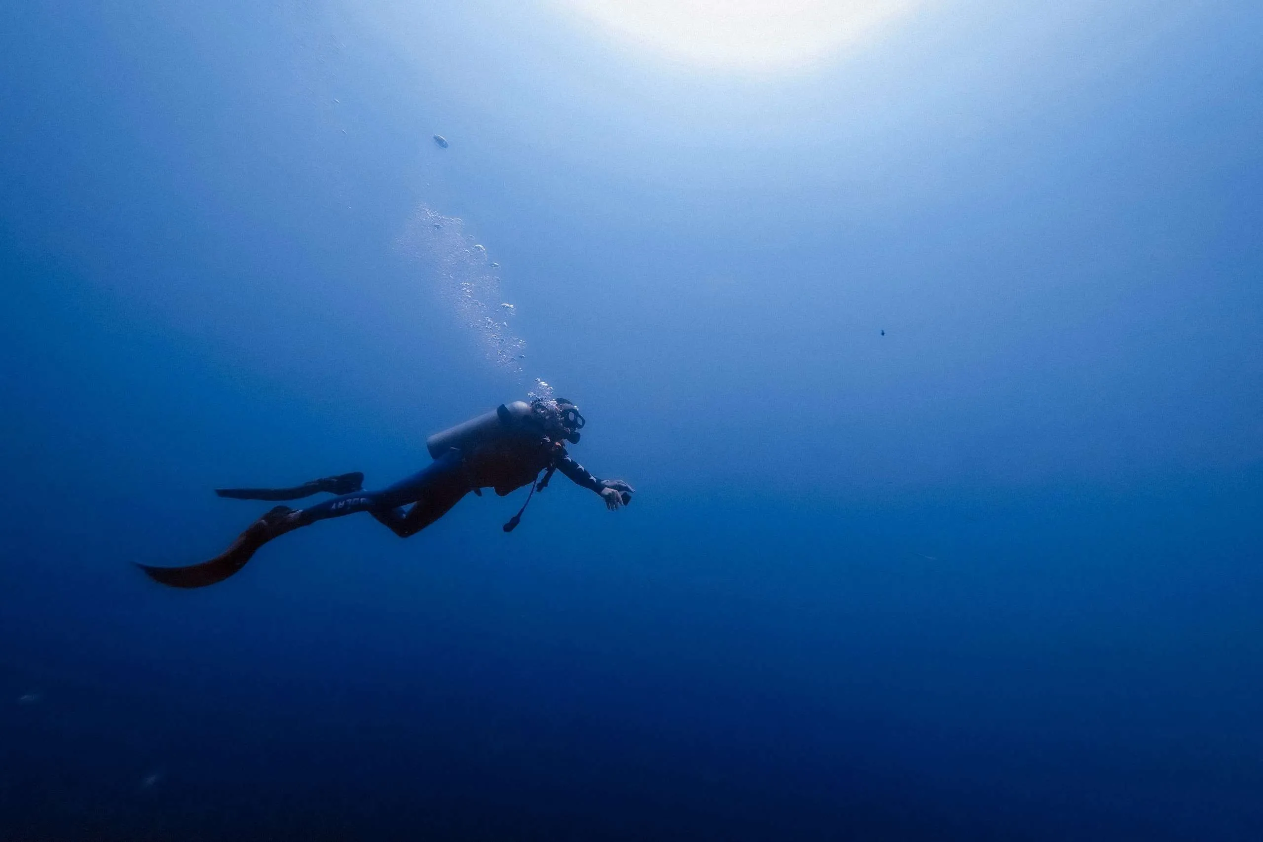 Scuba Diving — Catalina Islands