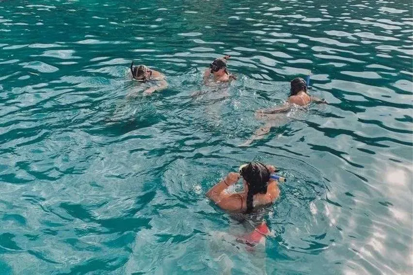 Snorkeling — Catalina Islands