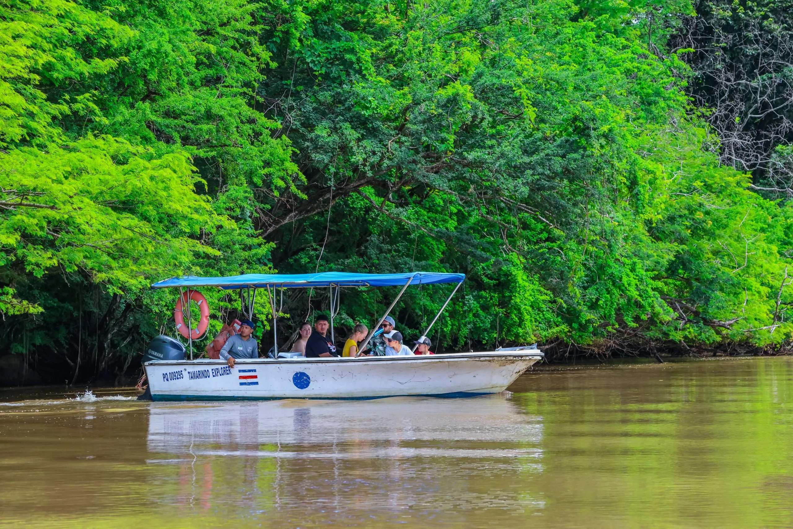 Tamarindo Mangrove Estuary Boat Tour