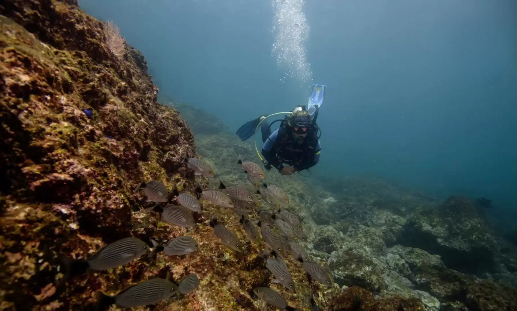Discover Scuba Diving